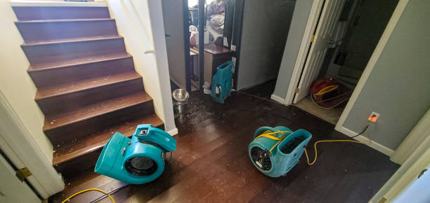 Best Sewage cleanup and water damage restoration  in Frontenac, MO