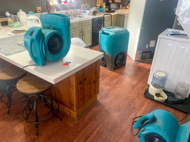 Best Water damage contractors near me  in Frontenac, MO