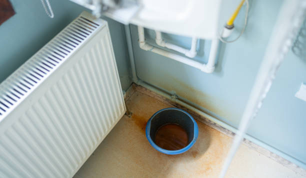 Best Mold removal after water damage  in Frontenac, MO