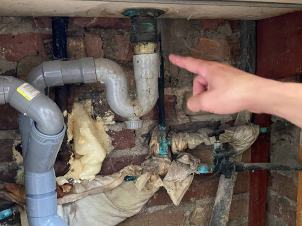 Best Water damage restoration near me  in Frontenac, MO